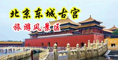 比基尼美女操几把中国北京-东城古宫旅游风景区